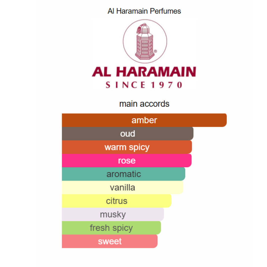 AMBER OUD DUBAI NIGHT EDP 100 ML